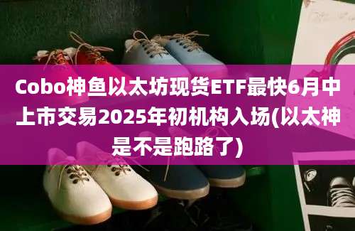 Cobo神鱼以太坊现货ETF最快6月中上市交易2025年初机构入场(以太神是不是跑路了)