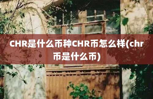 CHR是什么币种CHR币怎么样(chr币是什么币)