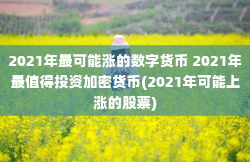 2021年最可能涨的数字货币 2021年最值得投资加密货币(2021年可能上涨的股票)