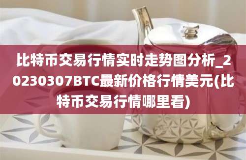 比特币交易行情实时走势图分析_20230307BTC最新价格行情美元(比特币交易行情哪里看)