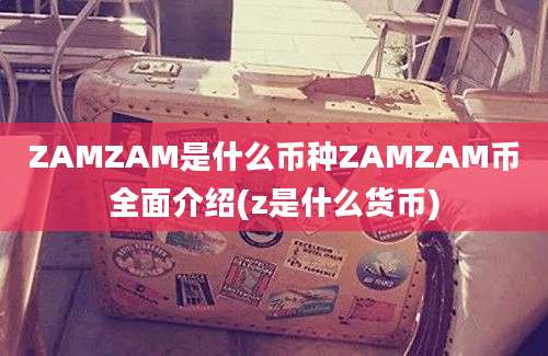 ZAMZAM是什么币种ZAMZAM币全面介绍(z是什么货币)