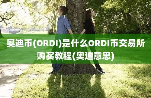 奥迪币(ORDI)是什么ORDI币交易所购买教程(奥迪意思)