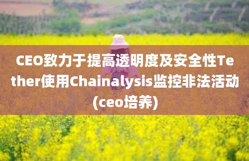 CEO致力于提高透明度及安全性Tether使用Chainalysis监控非法活动(ceo培养)