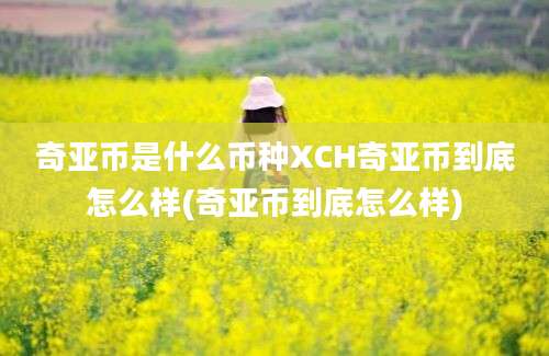 奇亚币是什么币种XCH奇亚币到底怎么样(奇亚币到底怎么样)