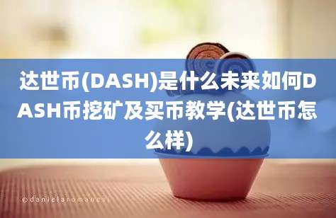 达世币(DASH)是什么未来如何DASH币挖矿及买币教学(达世币怎么样)