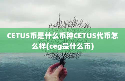 CETUS币是什么币种CETUS代币怎么样(ceg是什么币)