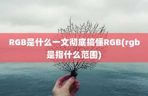 RGB是什么一文彻底搞懂RGB(rgb是指什么范围)