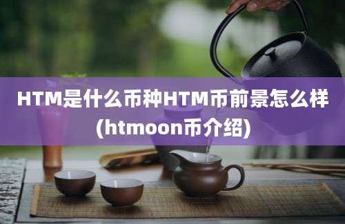 HTM是什么币种HTM币前景怎么样(htmoon币介绍)