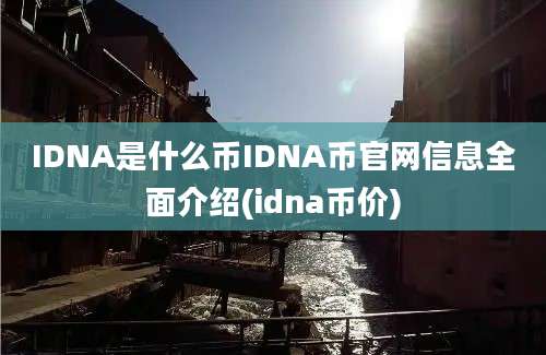 IDNA是什么币IDNA币官网信息全面介绍(idna币价)