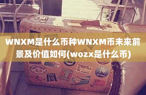 WNXM是什么币种WNXM币未来前景及价值如何(wozx是什么币)