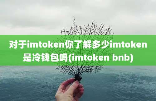 对于imtoken你了解多少imtoken是冷钱包吗(imtoken bnb)