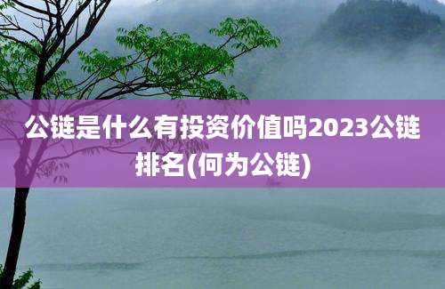 公链是什么有投资价值吗2023公链排名(何为公链)