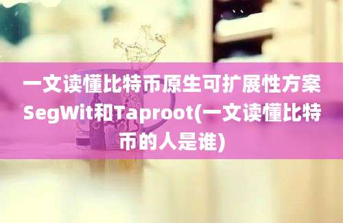 一文读懂比特币原生可扩展性方案SegWit和Taproot(一文读懂比特币的人是谁)