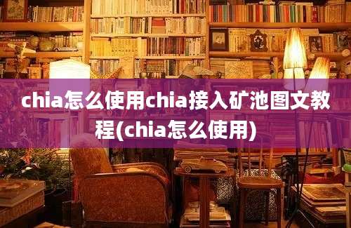 chia怎么使用chia接入矿池图文教程(chia怎么使用)