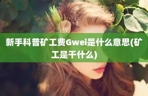 新手科普矿工费Gwei是什么意思(矿工是干什么)