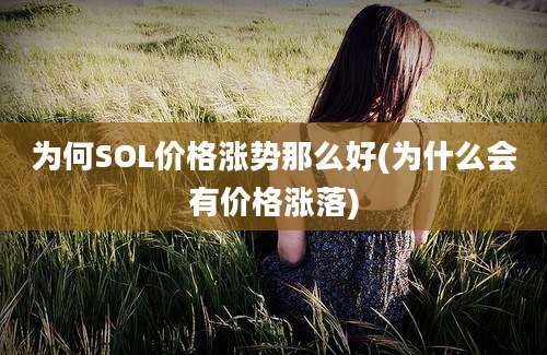 为何SOL价格涨势那么好(为什么会有价格涨落)