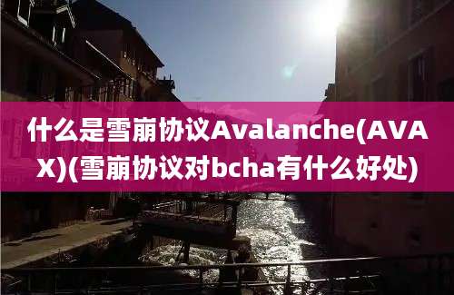 什么是雪崩协议Avalanche(AVAX)(雪崩协议对bcha有什么好处)