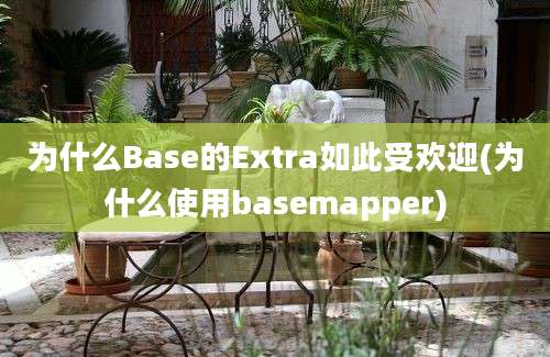 为什么Base的Extra如此受欢迎(为什么使用basemapper)