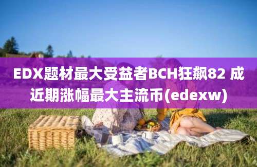 EDX题材最大受益者BCH狂飙82 成近期涨幅最大主流币(edexw)