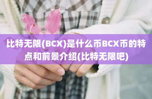 比特无限(BCX)是什么币BCX币的特点和前景介绍(比特无限吧)