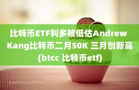 比特币ETF利多被低估Andrew Kang比特币二月50K 三月创新高(btcc 比特币etf)