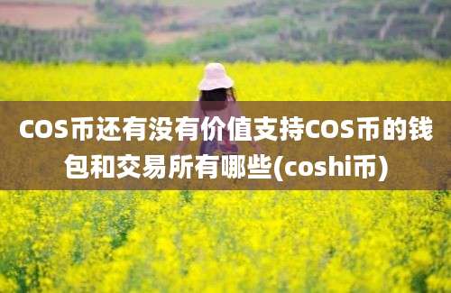 COS币还有没有价值支持COS币的钱包和交易所有哪些(coshi币)