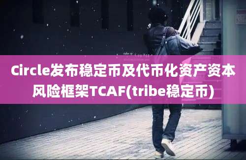 Circle发布稳定币及代币化资产资本风险框架TCAF(tribe稳定币)