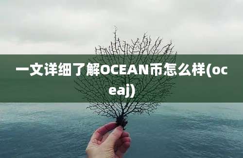 一文详细了解OCEAN币怎么样(oceaj)