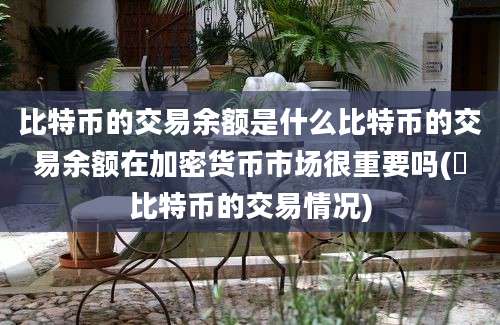 比特币的交易余额是什么比特币的交易余额在加密货币市场很重要吗(犇比特币的交易情况)