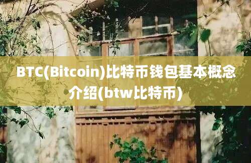 BTC(Bitcoin)比特币钱包基本概念介绍(btw比特币)