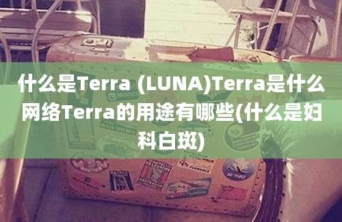 什么是Terra (LUNA)Terra是什么网络Terra的用途有哪些(什么是妇科白斑)