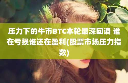 压力下的牛市BTC本轮最深回调 谁在亏损谁还在盈利(股票市场压力指数)