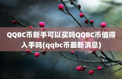 QQBC币新手可以买吗QQBC币值得入手吗(qqbc币最新消息)