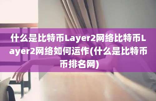 什么是比特币Layer2网络比特币Layer2网络如何运作(什么是比特币 币排名网)