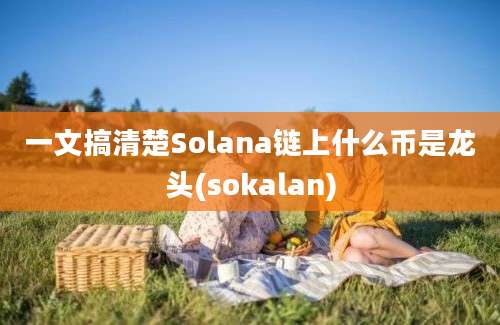 一文搞清楚Solana链上什么币是龙头(sokalan)