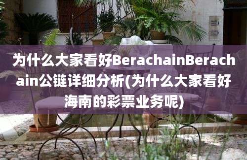 为什么大家看好BerachainBerachain公链详细分析(为什么大家看好海南的彩票业务呢)