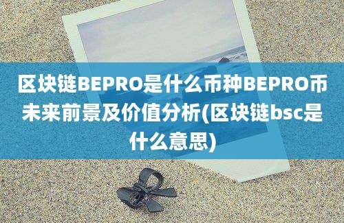 区块链BEPRO是什么币种BEPRO币未来前景及价值分析(区块链bsc是什么意思)