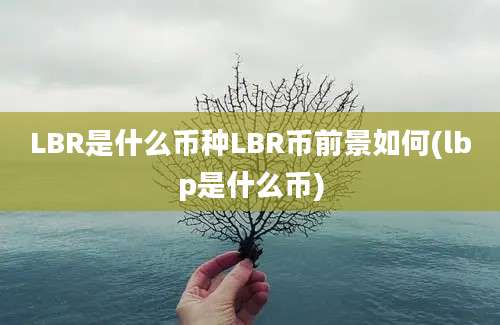 LBR是什么币种LBR币前景如何(lbp是什么币)