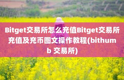 Bitget交易所怎么充值Bitget交易所充值及充币图文操作教程(bithumb 交易所)