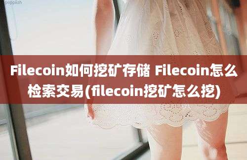 Filecoin如何挖矿存储 Filecoin怎么检索交易(filecoin挖矿怎么挖)