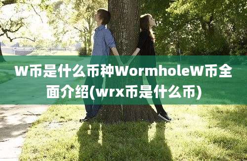 W币是什么币种WormholeW币全面介绍(wrx币是什么币)