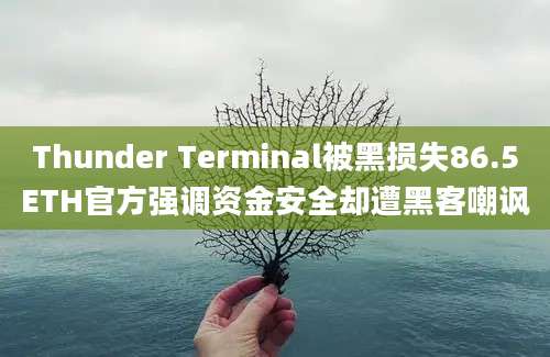 Thunder Terminal被黑损失86.5ETH官方强调资金安全却遭黑客嘲讽