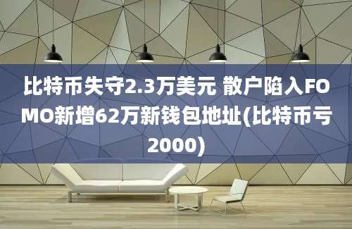 比特币失守2.3万美元 散户陷入FOMO新增62万新钱包地址(比特币亏2000)