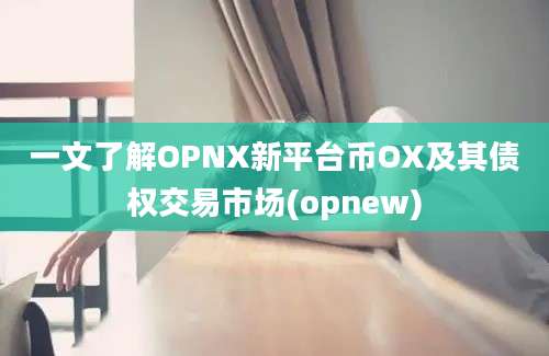 一文了解OPNX新平台币OX及其债权交易市场(opnew)