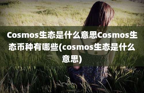 Cosmos生态是什么意思Cosmos生态币种有哪些(cosmos生态是什么意思)