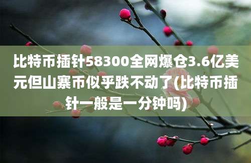 比特币插针58300全网爆仓3.6亿美元但山寨币似乎跌不动了(比特币插针一般是一分钟吗)