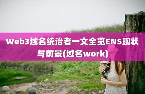 Web3域名统治者一文全览ENS现状与前景(域名work)