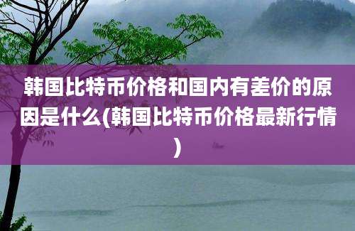 韩国比特币价格和国内有差价的原因是什么(韩国比特币价格最新行情)