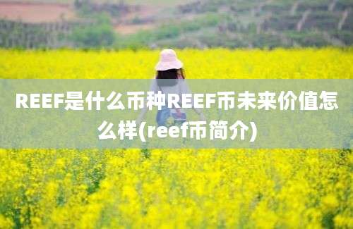 REEF是什么币种REEF币未来价值怎么样(reef币简介)