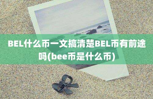 BEL什么币一文搞清楚BEL币有前途吗(bee币是什么币)